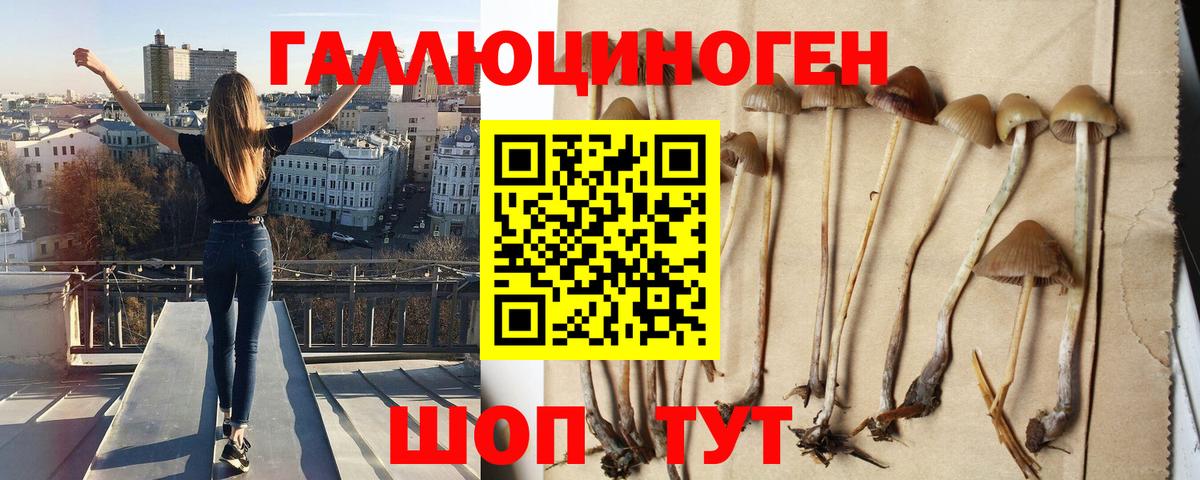 Галлюциногенные грибы Psilocybe  Псилоцибиновые грибы Cubensis  Павловский Посад  Вход с VPN 