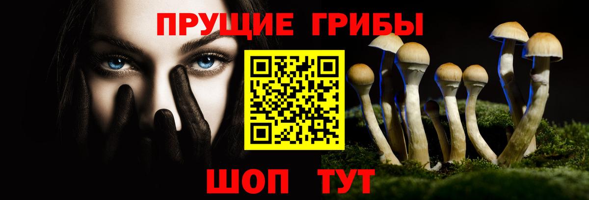Псилоцибиновые грибы ЛСД Павловский Посад